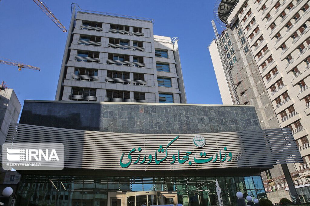 مجوز واردات موز از جهاد کشاورزی