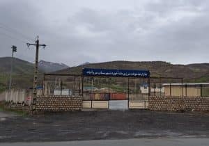 واردات موز با کارت پیله وری