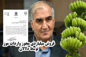 فروش مجوز واردات موز