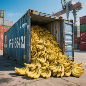 سلطان واردات موز ایران