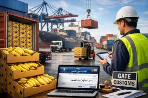 مقالات 1 ثبت سفارش واردات موز